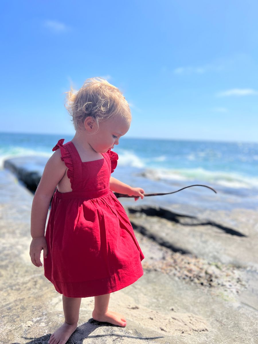 maeve red dress MILLE Maeve Dress in Burgundy Foulard XS