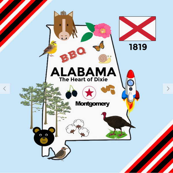 Alabama State Baby Learning Crinkle Tag Square 8"x 8" Toy