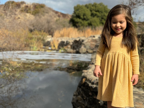 Charlotte Dress- Gold