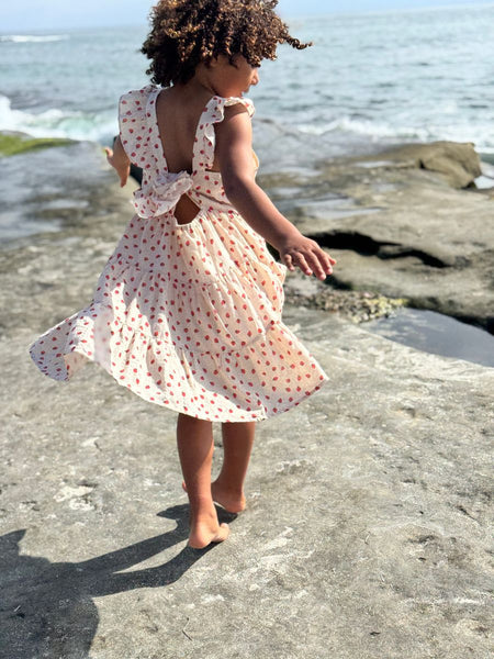 Emma Dress- Oatmeal Strawberries