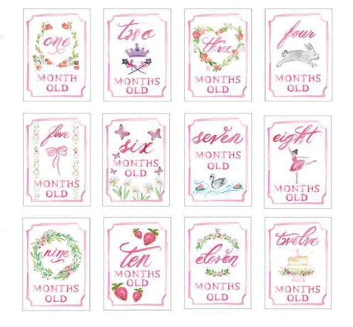 Monthly Milestone Card Set- Pink