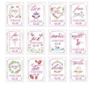 Monthly Milestone Card Set- Pink