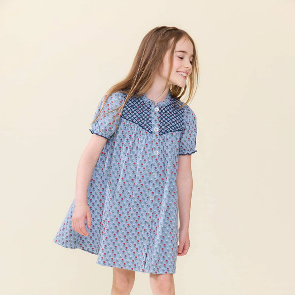 Girls Lucia Dress- Light Blue Carnation