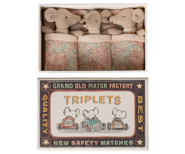 Triplets, Baby mice in matchbox
