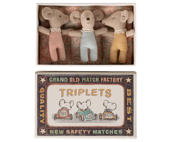 Triplets, Baby mice in matchbox