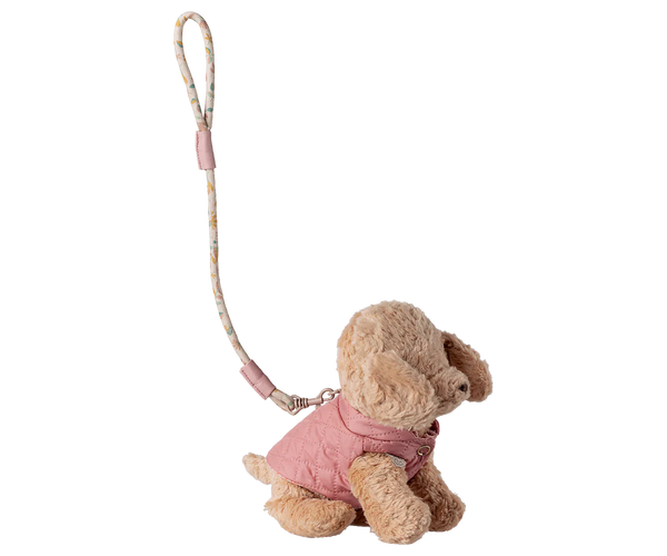 Pet supply, Harness and leash - Rose