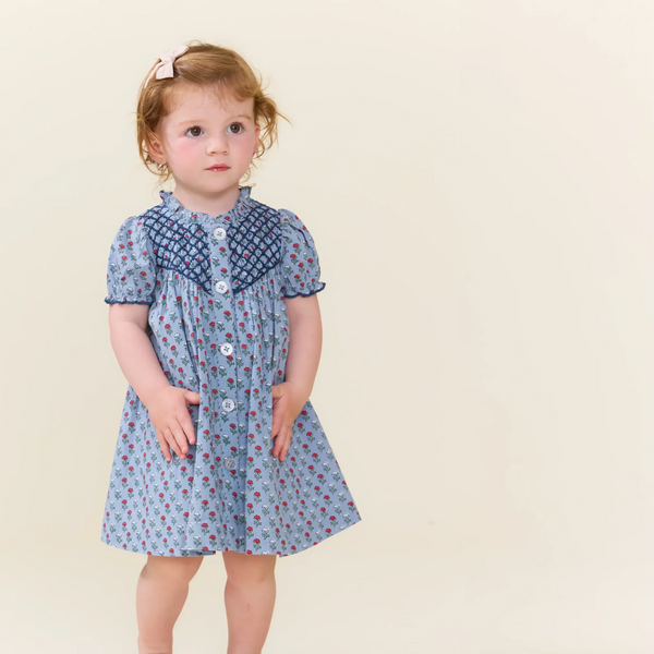 Baby Girls Lucia Dress Set- Light Blue Carnation
