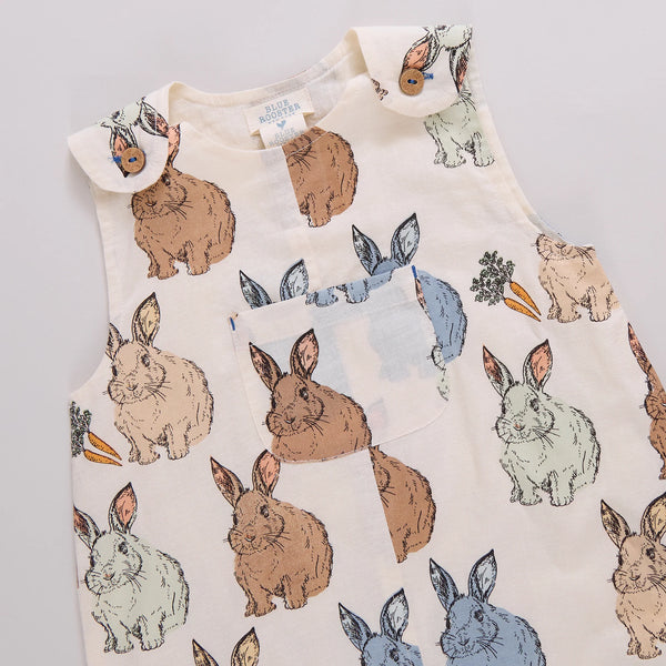 Baby Boys Noah Jumper- Blue Vintage Bunnies (FINAL SALE)