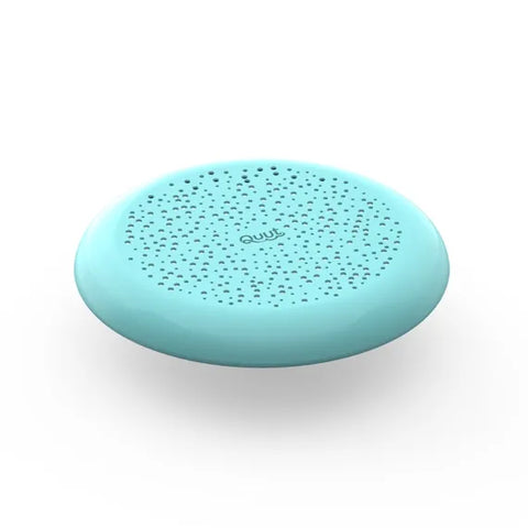 Flying Disc + Sand Sifter