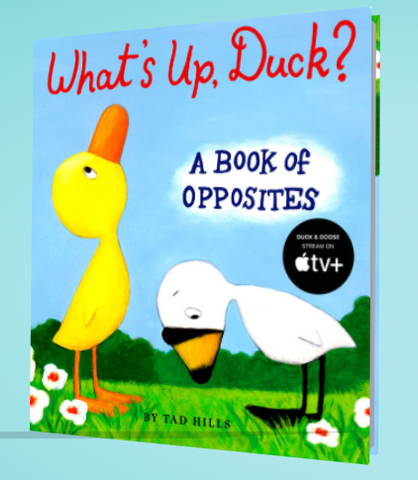 What's Up, Duck? (Board Book)