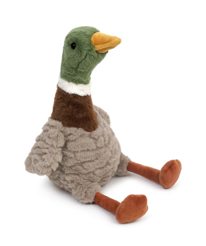 River Mallard Duck