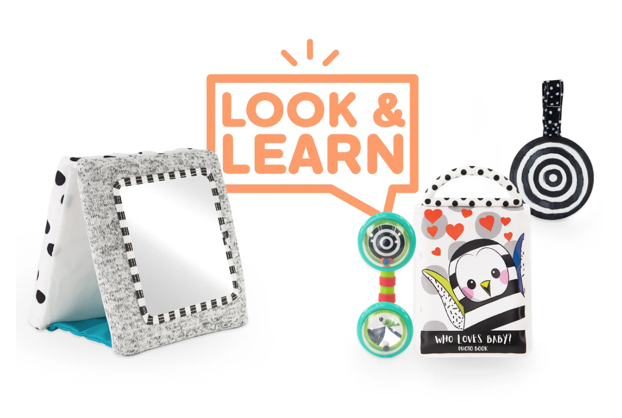 Look & Learn Toy