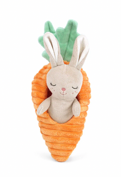 Bunny in Carrot Activity Toy