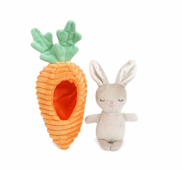 Bunny in Carrot Activity Toy