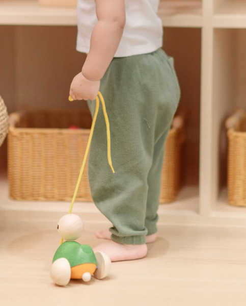 Pull-Along Duck