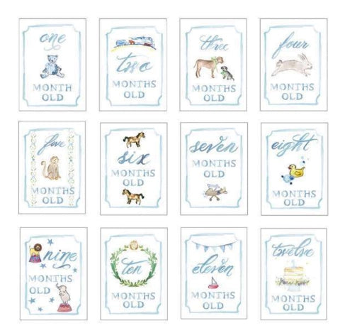 Monthly Milestone Card Set- Blue