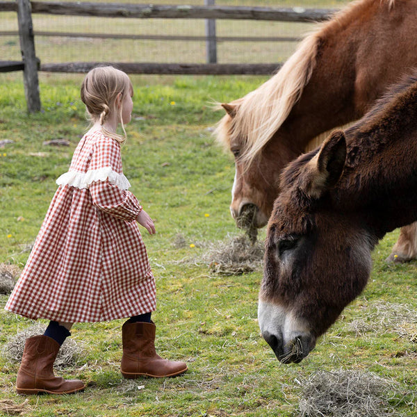 Girls Dixie Dress - Pony Gingham