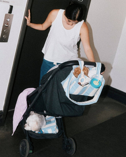 Storq x Kindred Bravely Stroller Party Caddy Bag: Superbloom