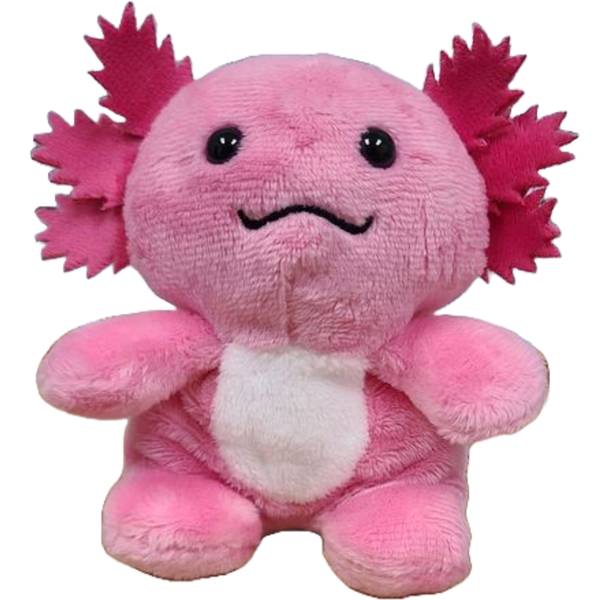 Canned Axolotl | Stuffed Animal Plush w/Jokes | Unique Gift