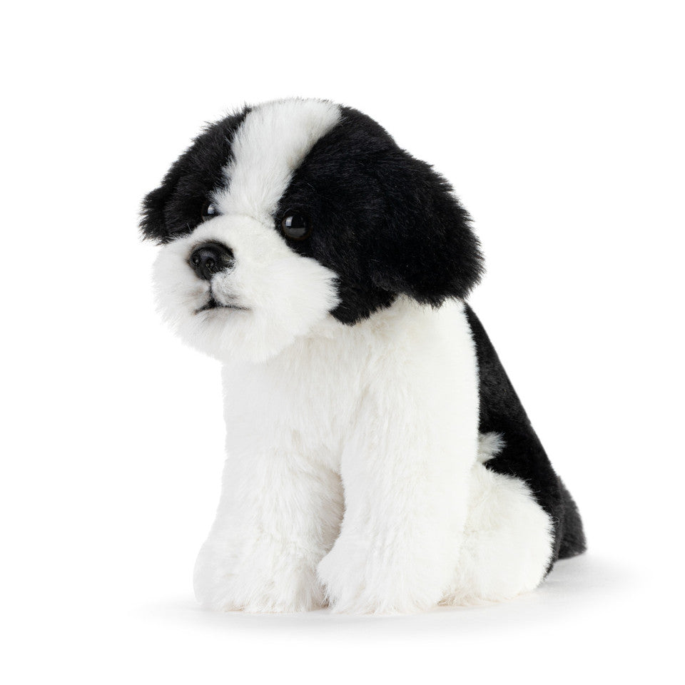 Havanese Beanbag