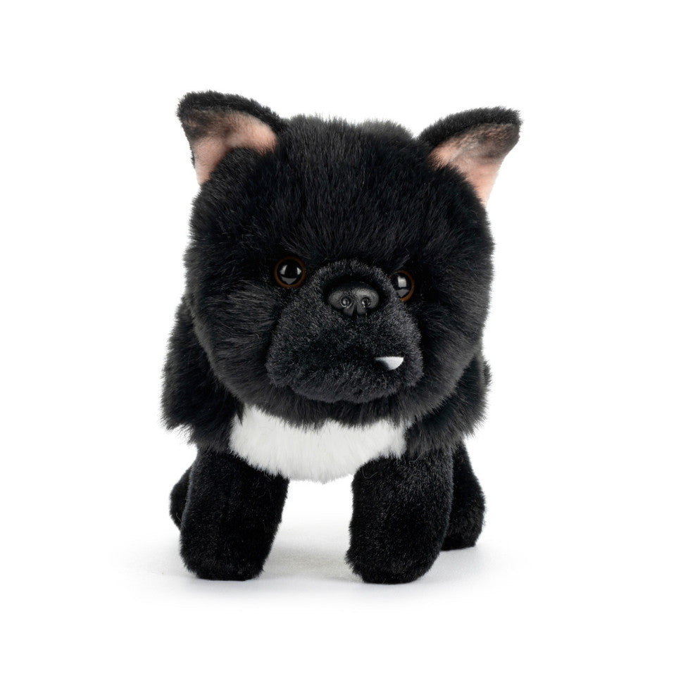 Brussels Griffon Mix Scruffy Beanbag