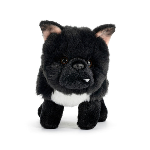 Brussels Griffon Mix Scruffy Beanbag