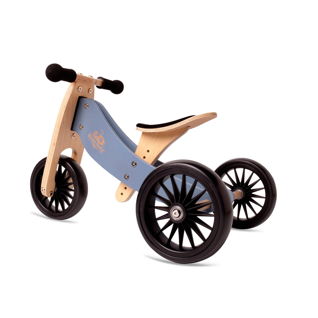 2 in 1 trike and balance bike